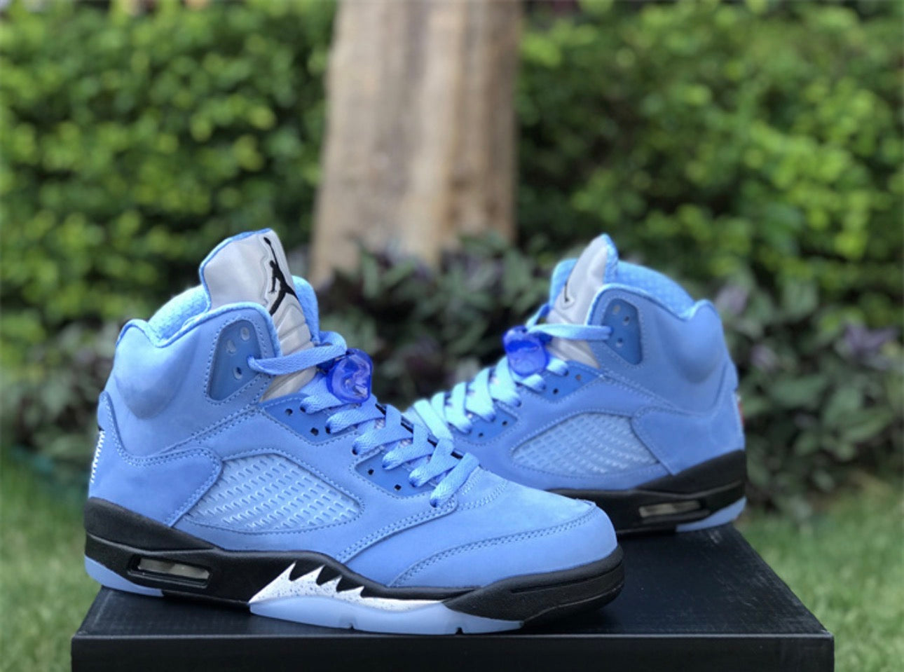 UNC 5s