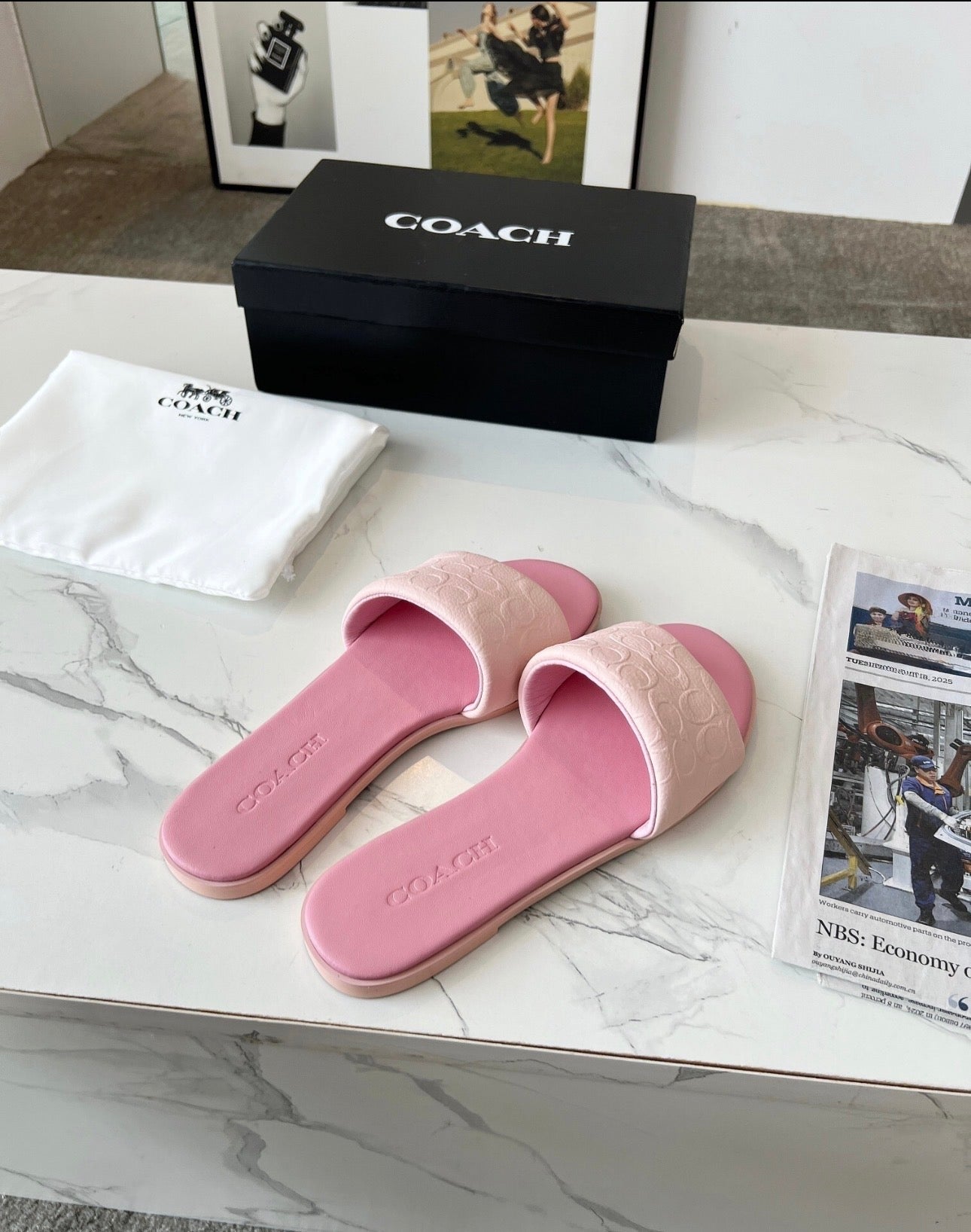 Coach slides