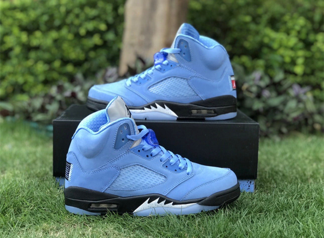 UNC 5s