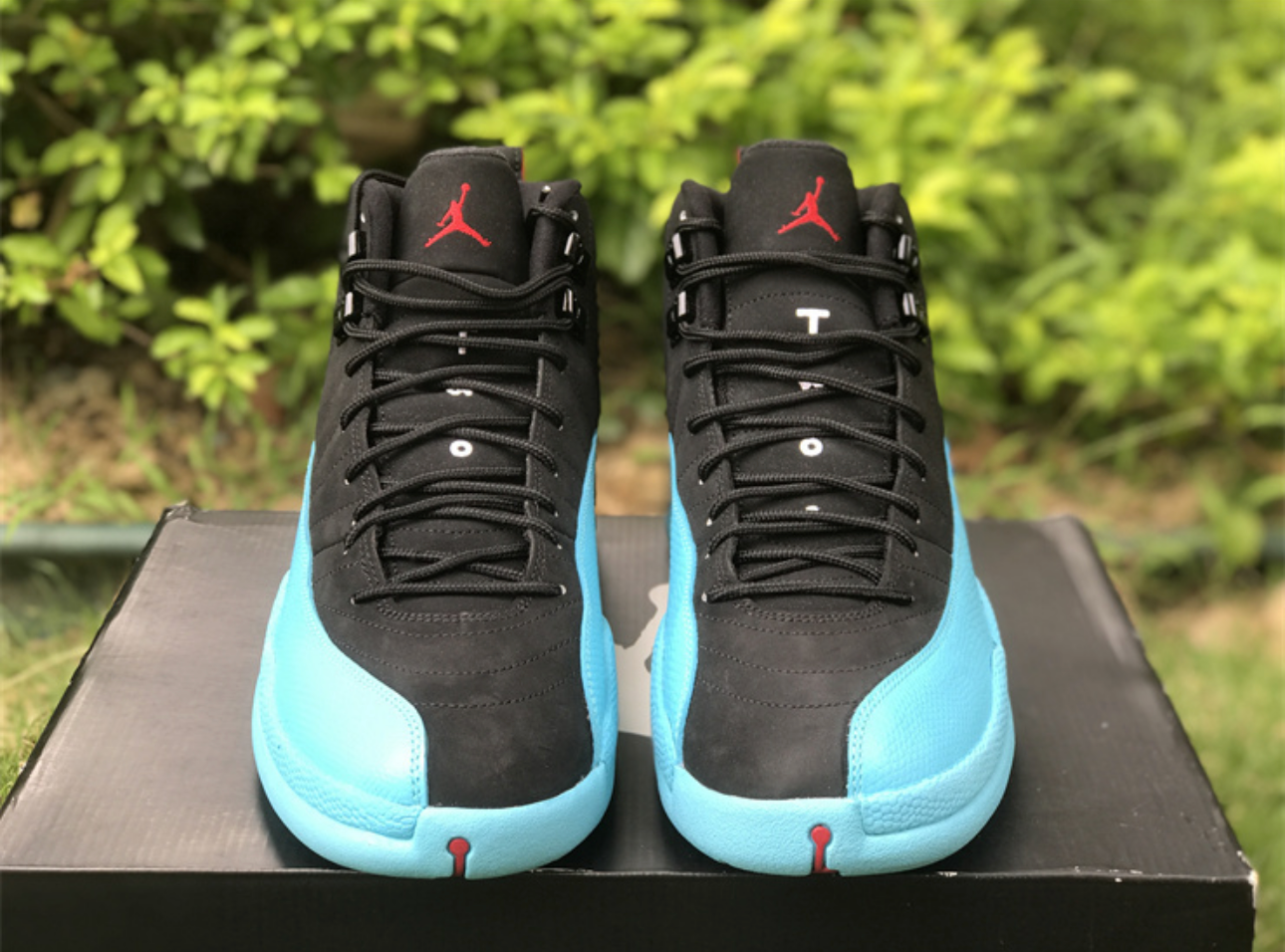 "Gamma blue" 12s