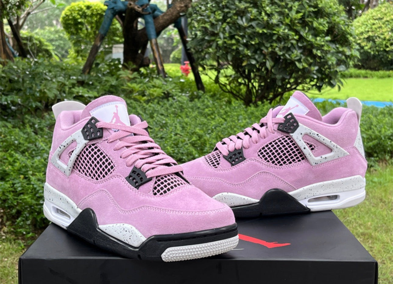 Orchid 4s
