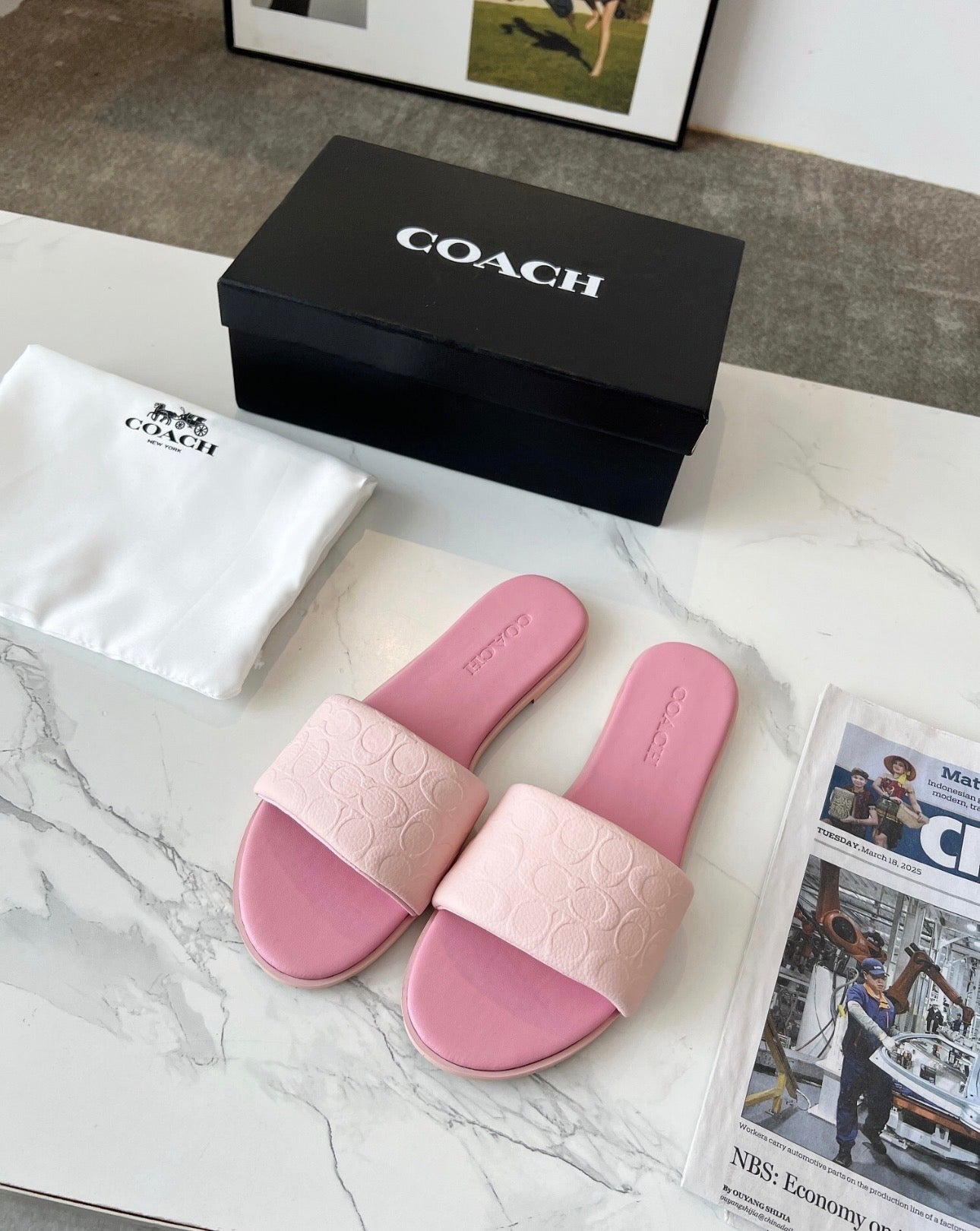 Coach slides