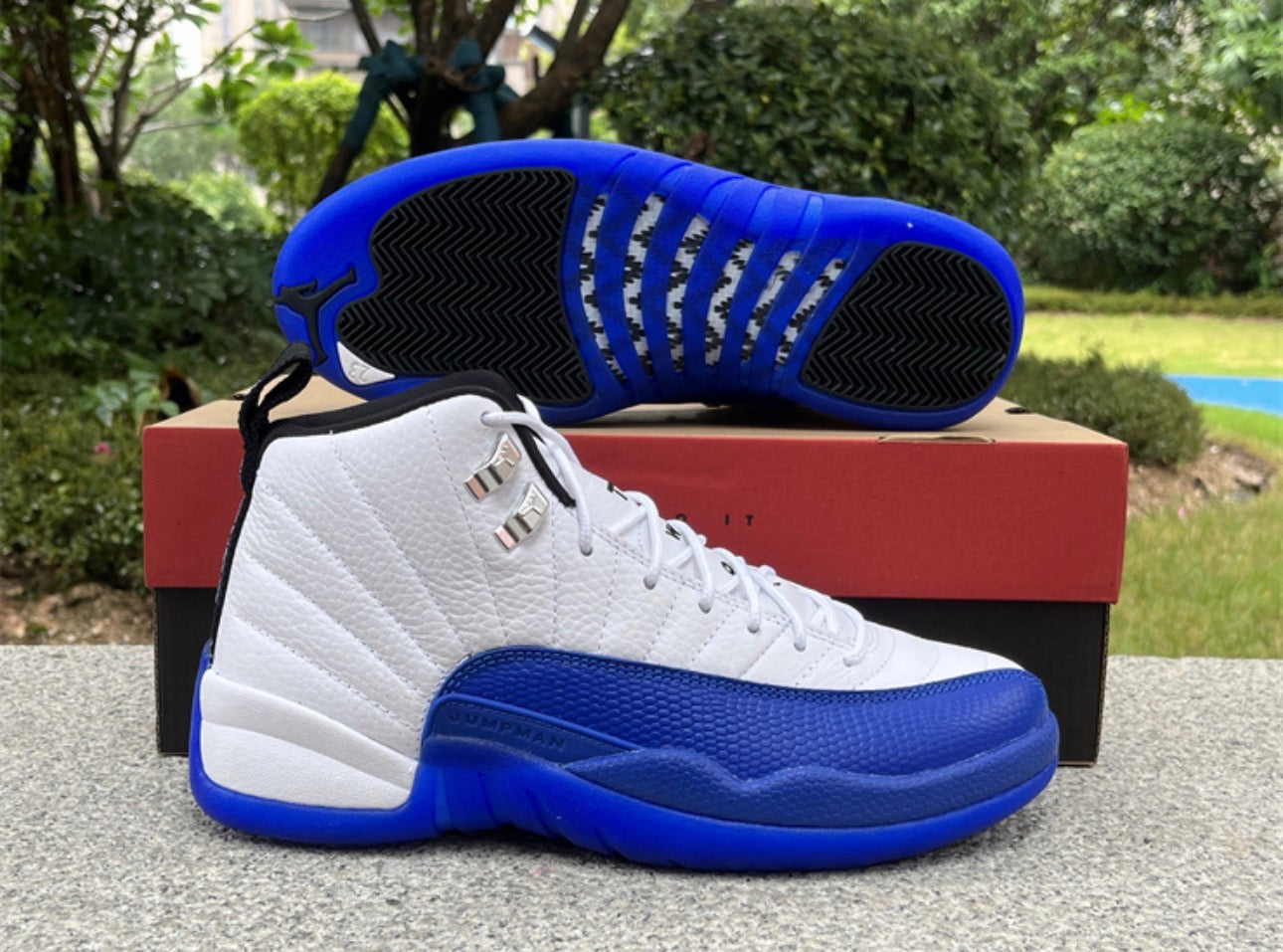Blueberry 12s